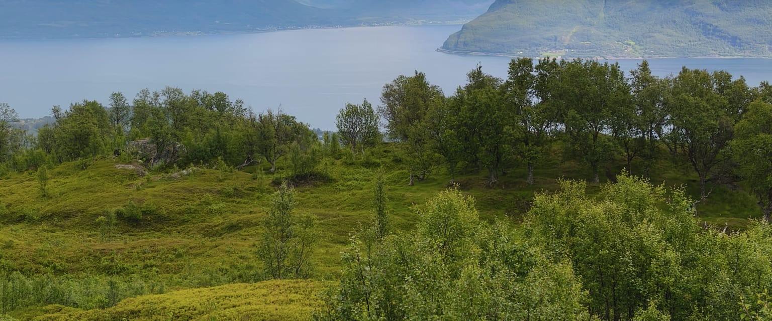 Wandern in Lyngen | © Magic Mountain Lodge Sommer in den Lyngen Alpen