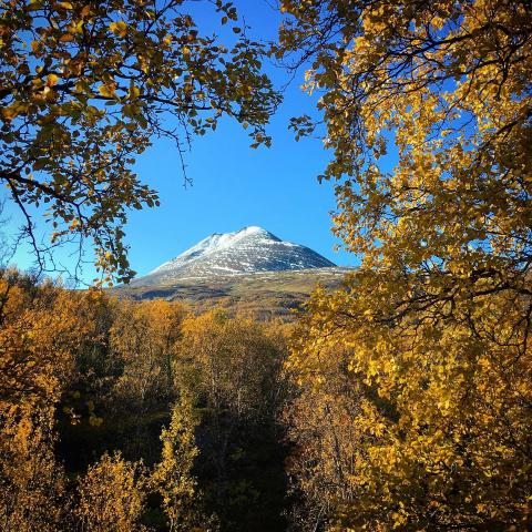 Kavringtinden, Lyngseidet | © MML Geführte Wanderungen in den Lyngen Alpen mit Arctic Summits